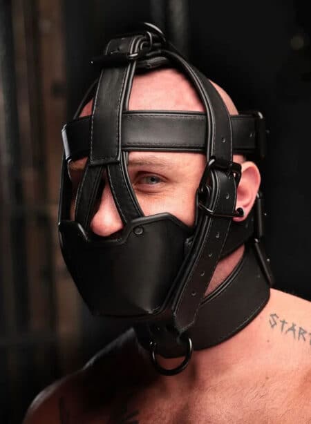 Mr. S Hardline Head Harness Muzzle Padded Non-locking Black