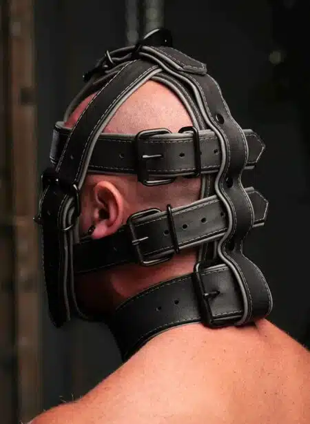 Mr. S Hardline Head Harness Muzzle Padded Non-locking Grey