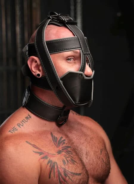 Mr. S Hardline Head Harness Muzzle Padded Non-locking Grey