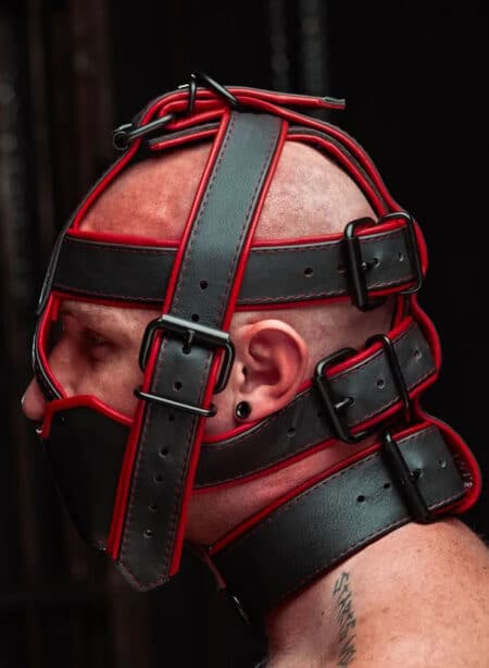 Mr. S Hardline Head Harness Muzzle Padded Non-locking Red