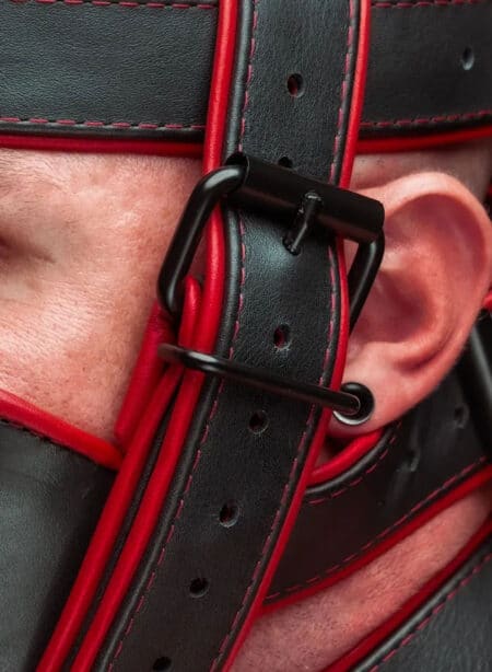 Mr. S Hardline Head Harness Muzzle Padded Non-locking Red