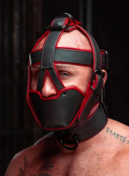 Mr. S Hardline Head Harness Muzzle Padded Non-locking Red