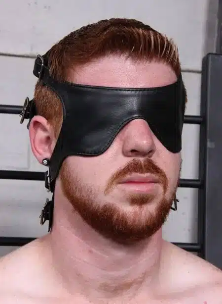 Mr. S Leather Asylum Muzzle