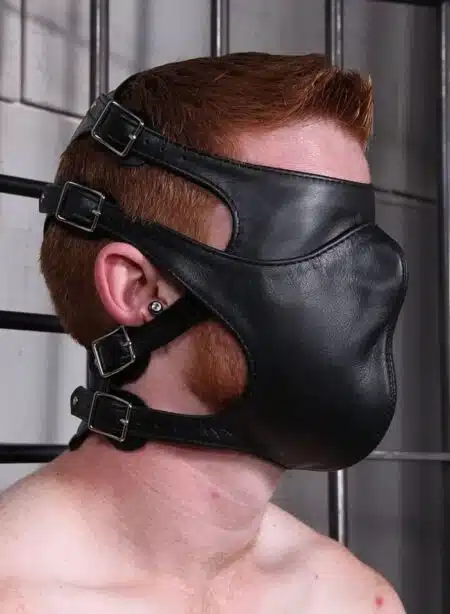 Mr. S Leather Asylum Muzzle
