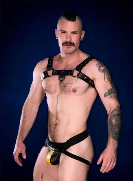 Mr. S Leather Center Stripe Jockstrap Yellow