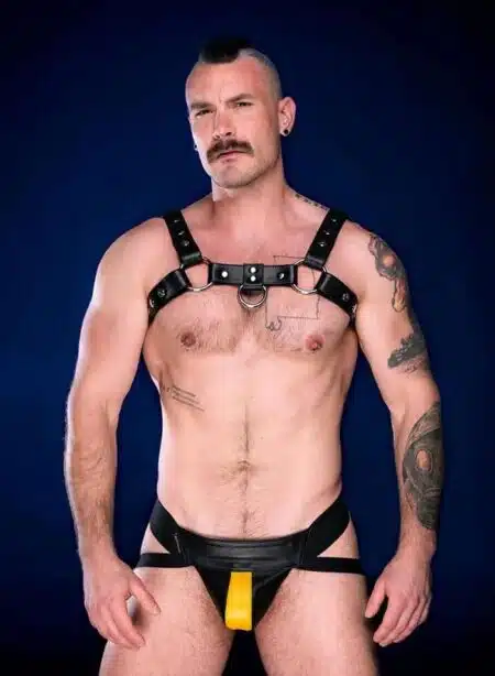 Mr. S Leather Center Stripe Jockstrap Yellow
