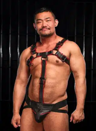 Mr. S Leather Cockstrap for Hardline Bulldog Harness