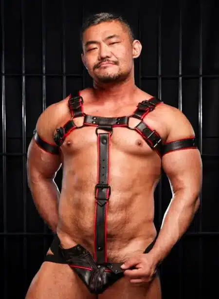 Mr. S Leather Cockstrap for Hardline Bulldog Harness