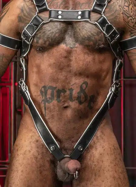 Mr. S Leather Cockstraps for Piped Trojan Body Harness