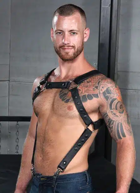 Mr. S Leather Crossbow Body Harness