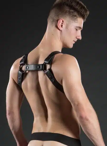 Mr. S Leather Crossbow Body Harness