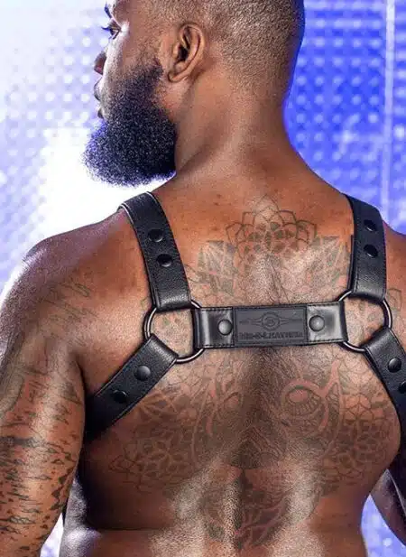 Mr. S Leather Crossbow Body Harness