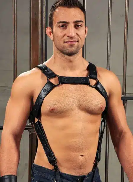 Mr. S Leather Crossbow Body Harness