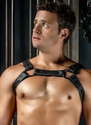 Mr. S Leather Crossbow Chest Harness