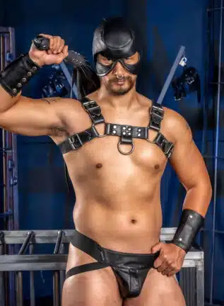 Mr. S Leather Dungeon Half Hood