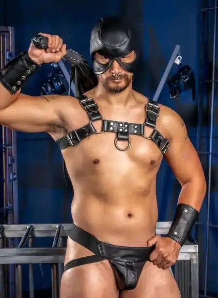 Mr. S Leather Dungeon Half Hood