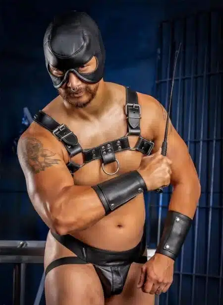 Mr. S Leather Dungeon Half Hood