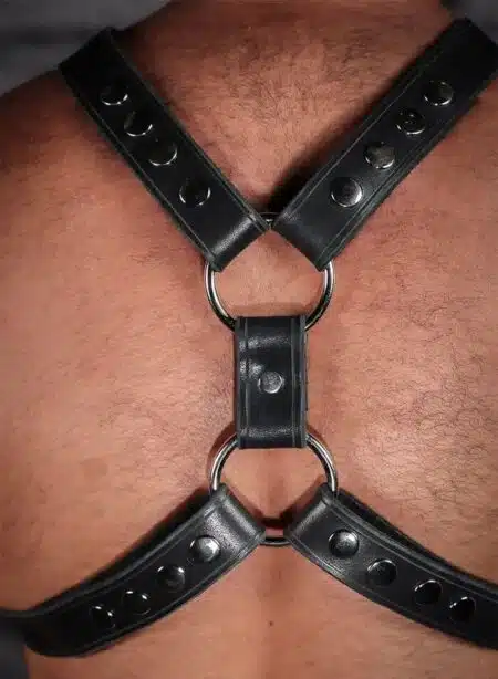 Mr. S Leather English Top Buckle Harness Latigo Leather