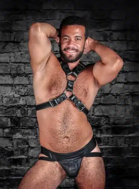 Mr. S Leather English Top Buckle Harness Latigo Leather