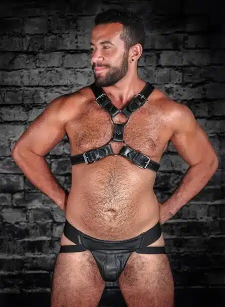 Mr. S Leather English Top Buckle Harness Latigo Leather
