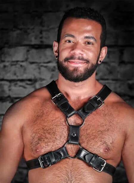 Mr. S Leather English Top Buckle Harness Latigo Leather
