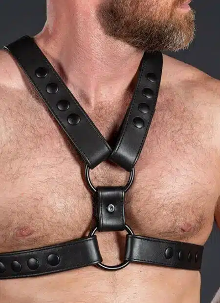 Mr. S Leather English Top Harness All Black