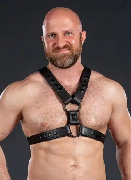 Mr. S Leather English Top Harness All Black