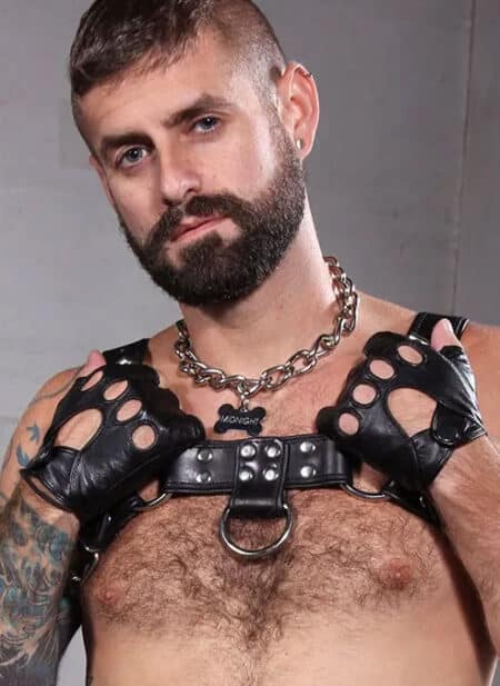 Mr. S Leather Fingerless Gloves