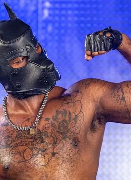 Mr. S Leather Fingerless Gloves