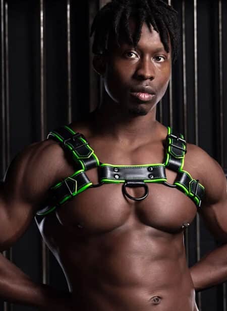 Mr. S Leather Hardline Bulldog Harness Lime