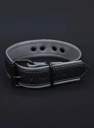 Mr. S Leather Hardline Collar Grey