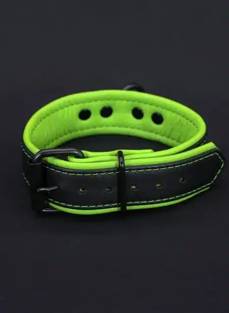Mr. S Leather Hardline Collar Lime