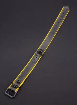 Mr. S Leather Hardline Collar Yellow