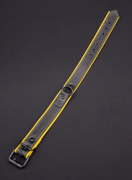 Mr. S Leather Hardline Collar Yellow