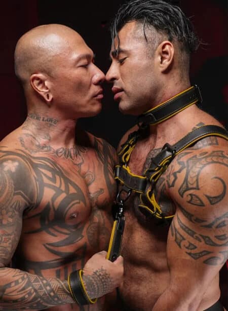 Mr. S Leather Hardline Collar Yellow