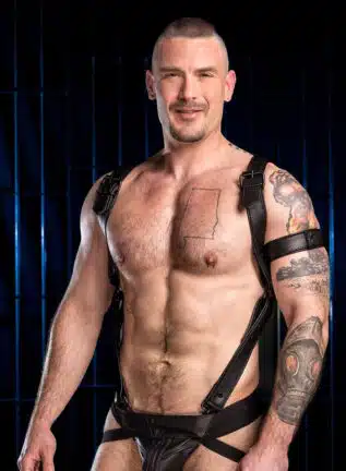 Mr. S Leather Hardline Hunter Harness Black