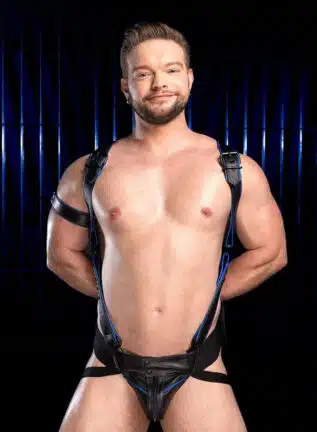 Mr. S Leather Hardline Hunter Harness Blue