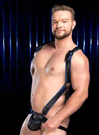 Mr. S Leather Hardline Hunter Harness Blue