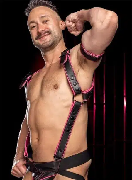 Mr. S Leather Hardline Hunter Harness Pink