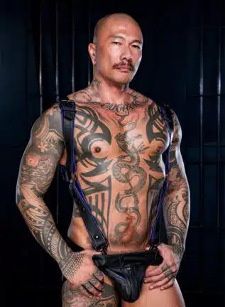 Mr. S Leather Hardline Hunter Harness Purple