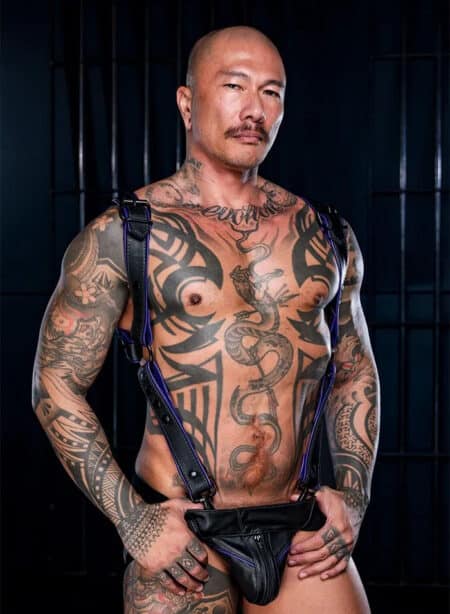 Mr. S Leather Hardline Hunter Harness Purple