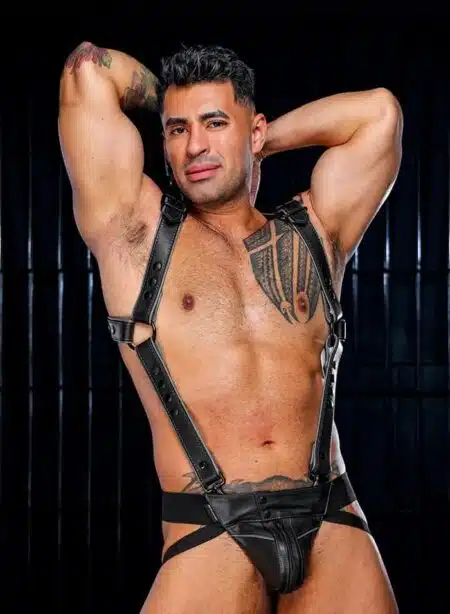 Mr. S Leather Hardline Jockstrap Grey