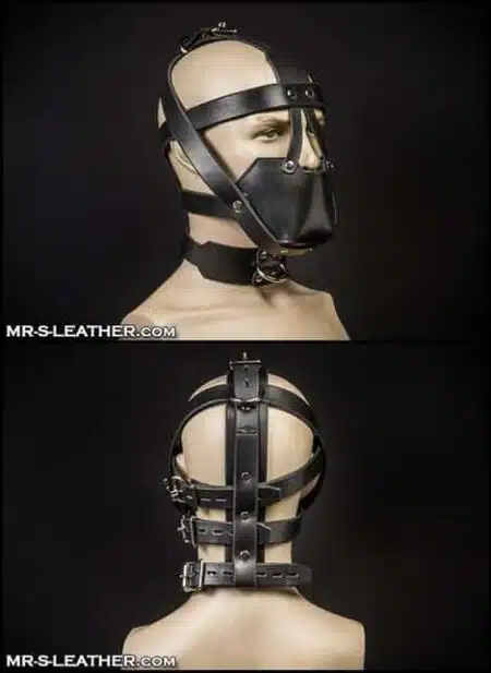 Mr. S Leather Head Harness Muzzle Padded with Locking Buckles