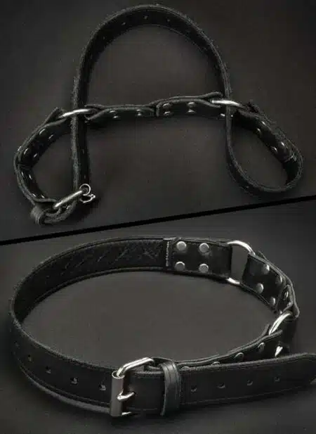 Mr. S Leather Hobble Belt
