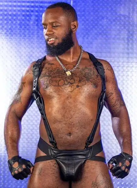 Mr. S Leather Hunter Harness 2.0 Black