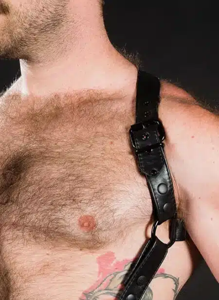 Mr. S Leather Hunter Harness 2.0 Black