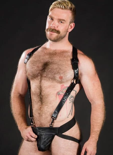 Mr. S Leather Hunter Harness 2.0 Black