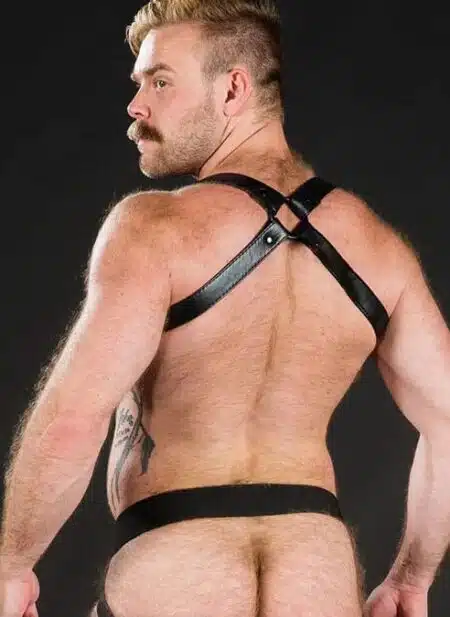 Mr. S Leather Hunter Harness 2.0 Black