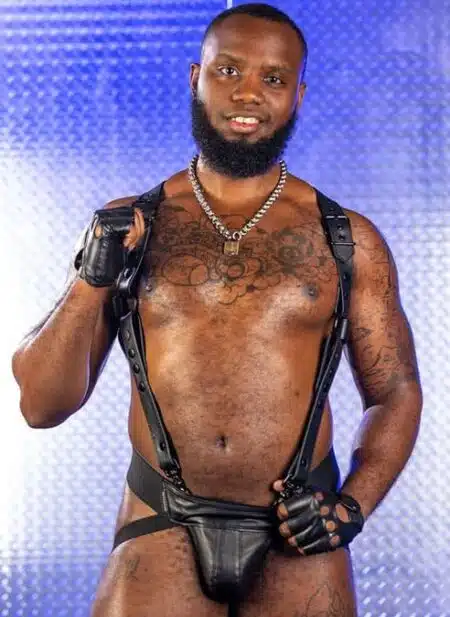 Mr. S Leather Hunter Harness 2.0 Black