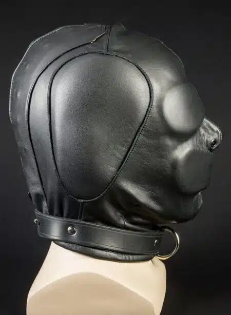 Mr. S Leather Isolation Hood